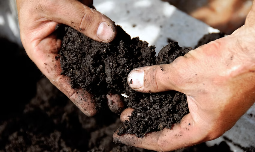 Hands holding dark soil
