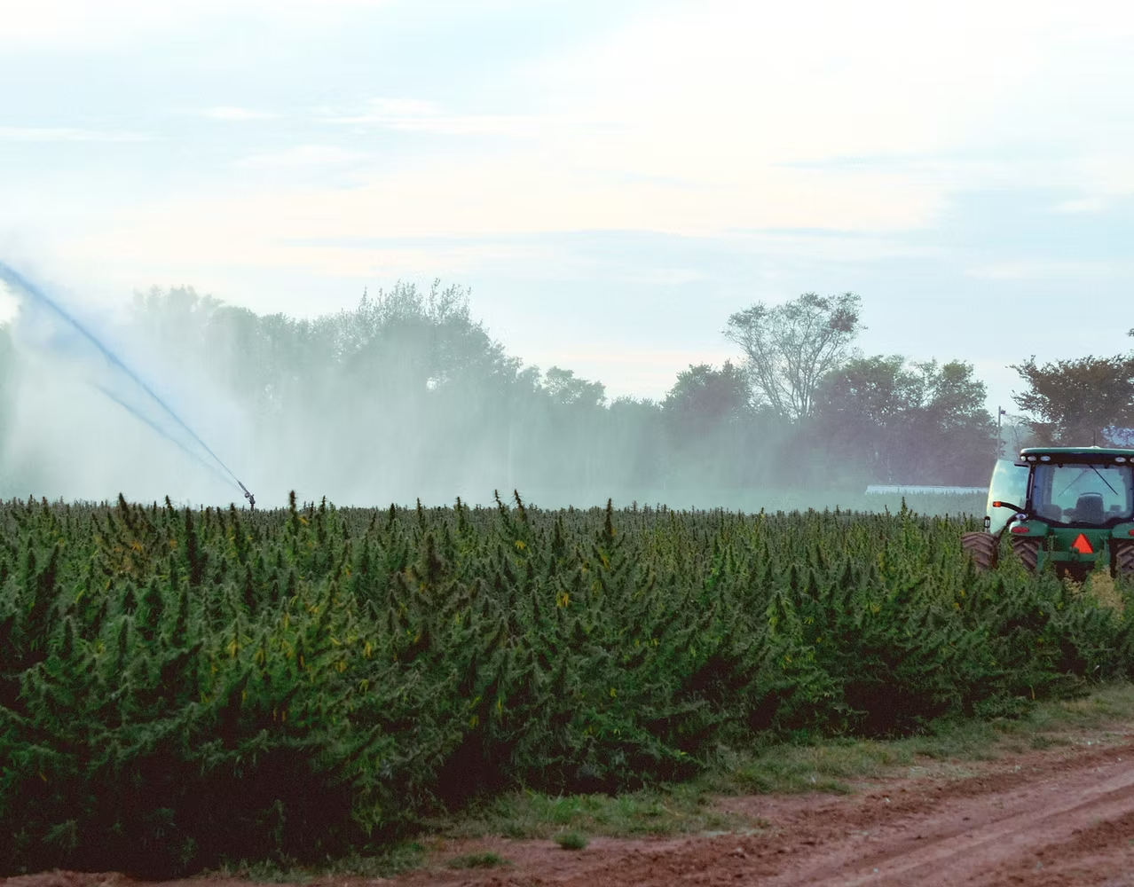 Sprinklers working over a field